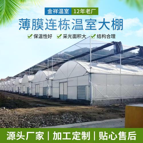 厂家供应 大棚搭建 蔬菜种植保温大棚多规格薄膜连栋温室