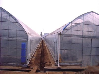 双拱双膜温室大棚 冬暖式蔬菜大棚 农用双膜大棚骨架