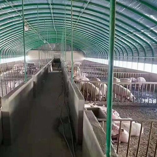 定制农业养殖温室大棚 养猪养兔子连栋温室 厂家免费设计